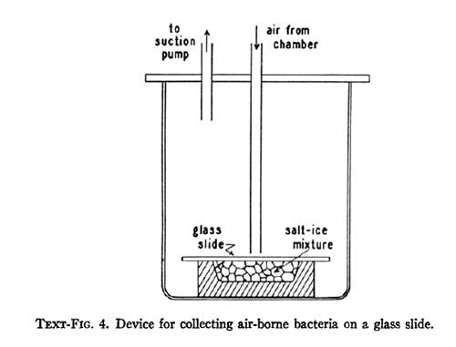 PG Experiment Figure 4