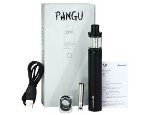 Kanger Pangu review