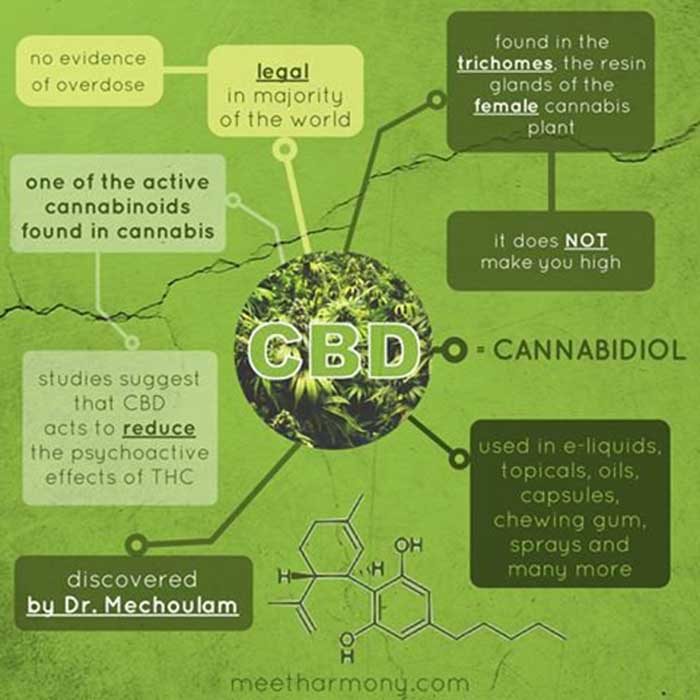 cbd evidence