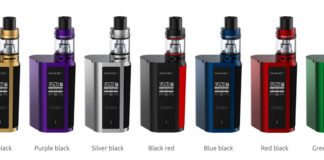 SMOK GX2/4 review