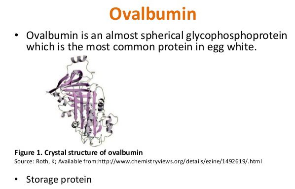 ovalbumin