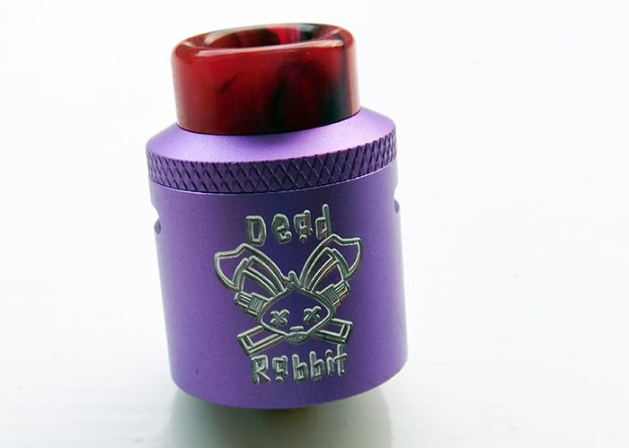 dead rabbit violet