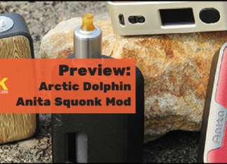 arctic dolphin anita preview
