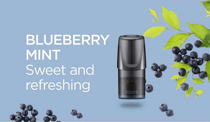 relx blueberry mint flavour review