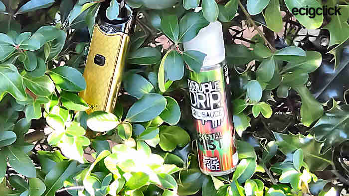 Smok Nord Kit holly bush