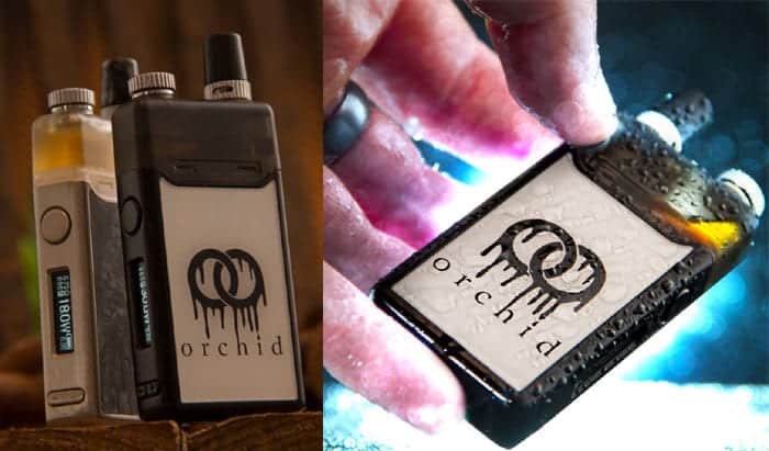 orchid promo shots