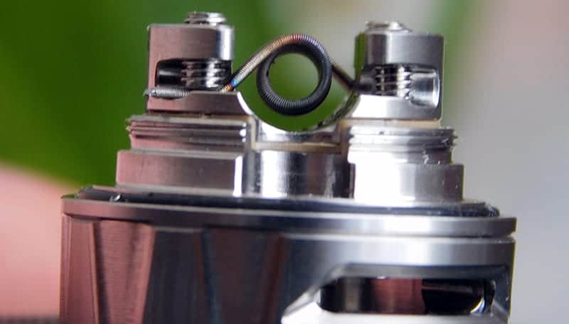 kelpie rta coiled