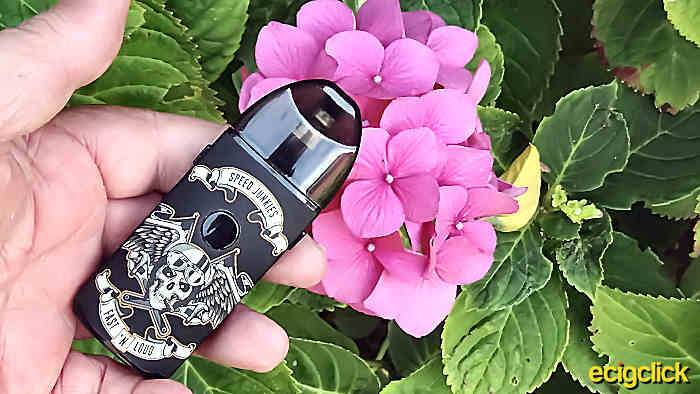 Vapefly Jester pod system in hand