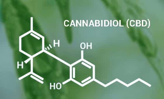 cannabidiol-cbd chemical composition