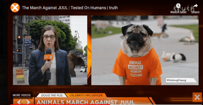 India Threatens Jail For Vapers and Doug the Pug Barking At JUUL!