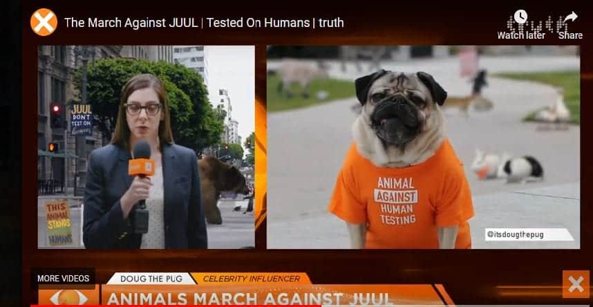 juul animal protest