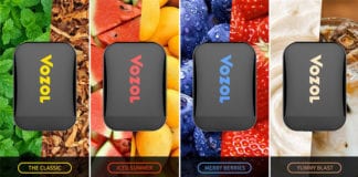 Vozol D2 Flavours