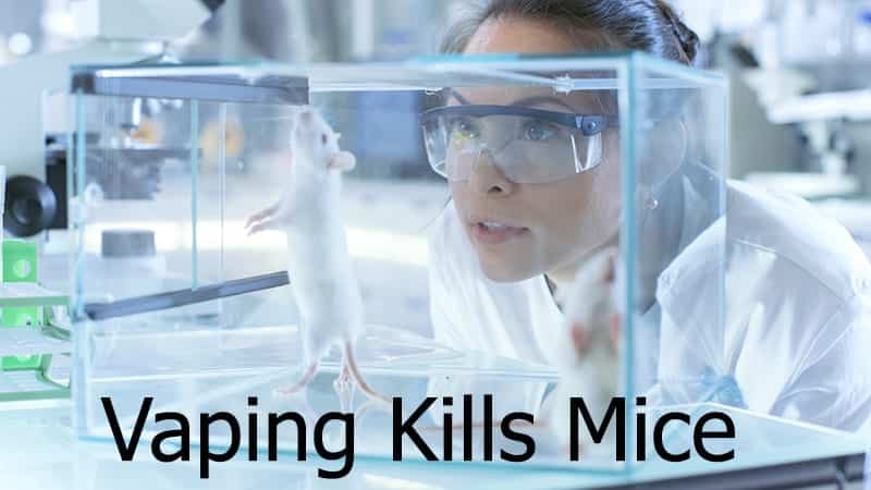 vaping kills mice