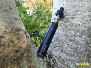 Vaptio Palo sitting in tree