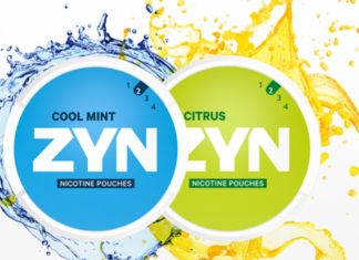 zyn nicotine pouches review