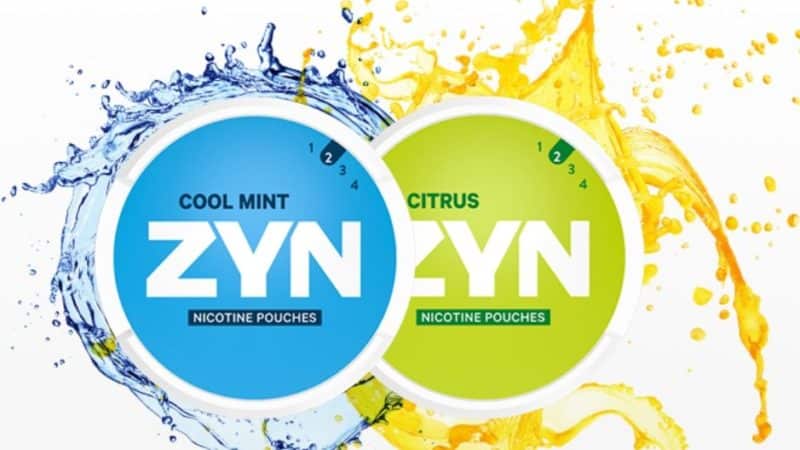 ZYN Nicotine Pouches Review - Harm Reduction - Ecigclick