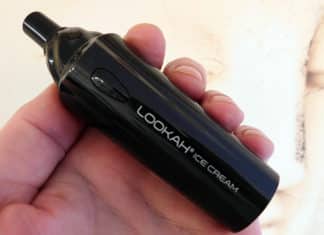 Lookah Ice Cream Vaporizer Review in hand