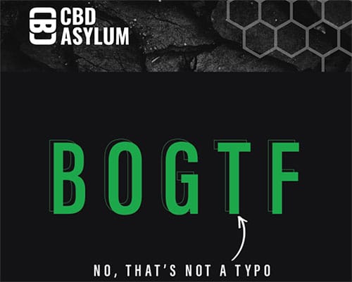 cbd-asylum-black-friday