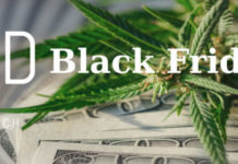 CBD Black Friday Deals