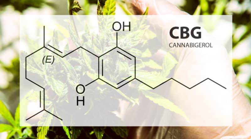 CBDfx CBD Tinctures Cannabigerol cbg in CBD