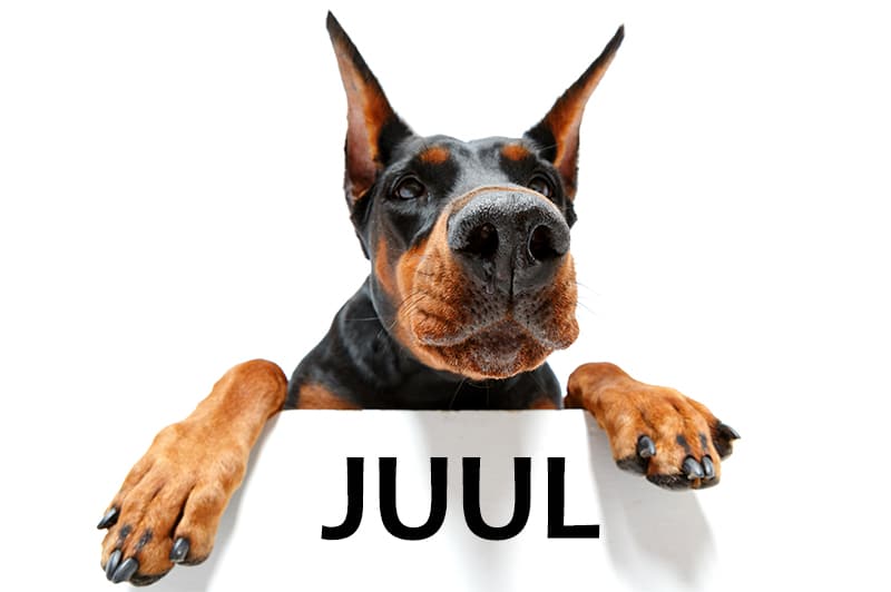 juul in cloning lawsuit