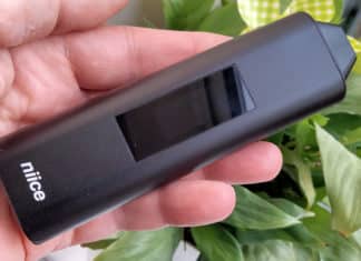 niiceone herbal vaporizer in hand