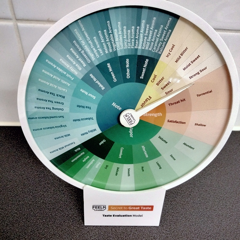 FEELM Taste Evaluation Model flavour wheel