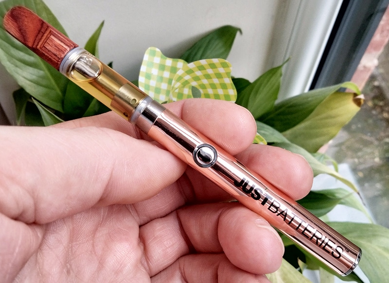 justCBD vape kit review