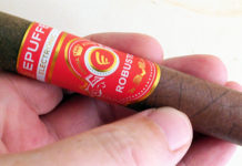 Epuffer Robusto Disposable E-Cigars in hand