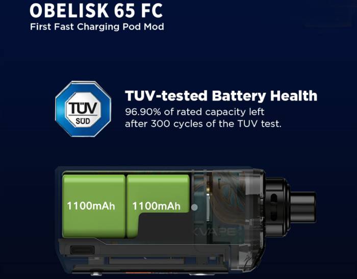 Obelisk 65 fc battery view