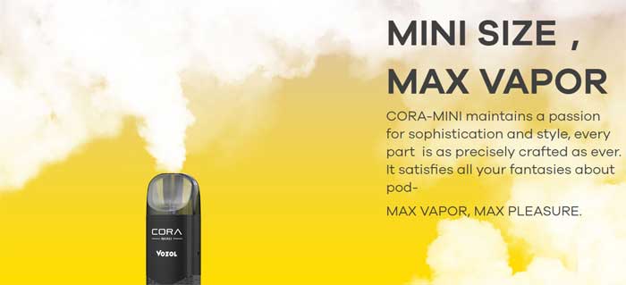 cora mini features