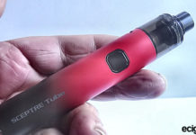 Innokin Sceptre Tube in hand