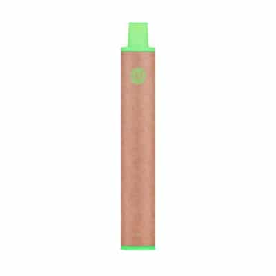 Dot e series disposable Mint