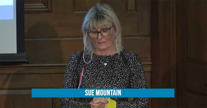 sue mountain