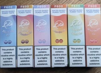 Lota 600 disposable e-cigs main pic