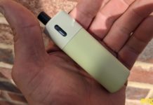 Vaptio Avocado Baby pod kit hand check pic