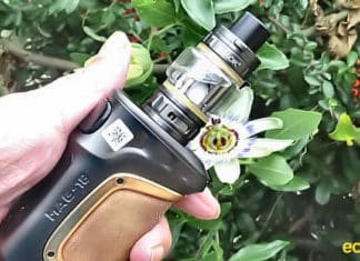 Smok Mag-18 flower outside