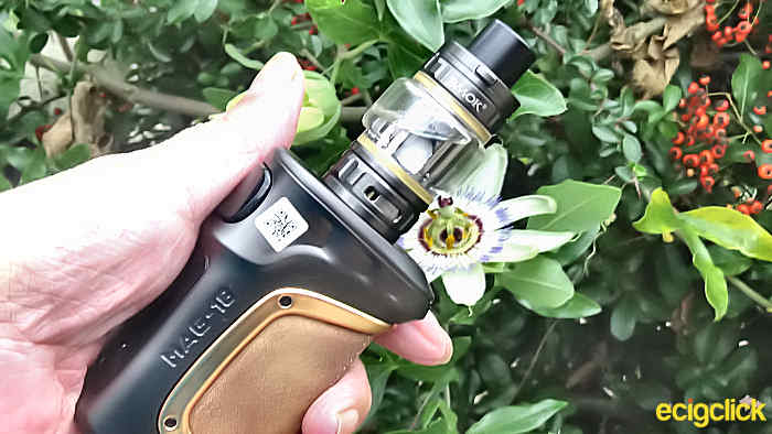 Smok Mag-18 flower outside