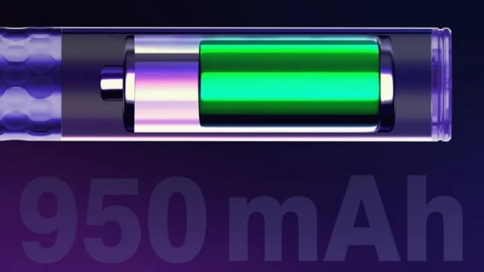 Moti Piin 2+ battery