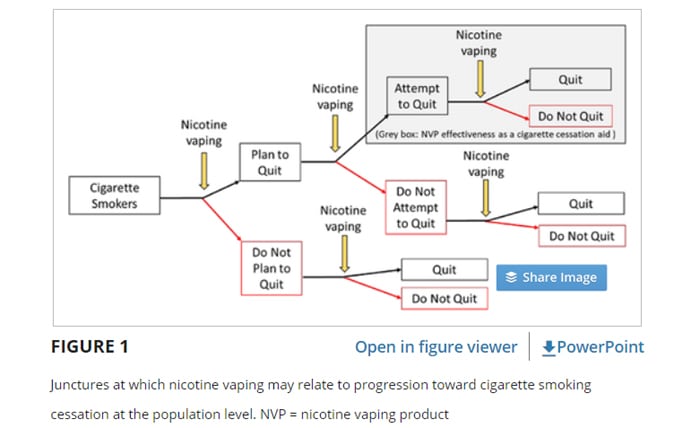 pathway of quitting smoking with vaping
