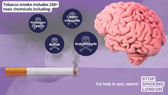 smoking chemicals brain