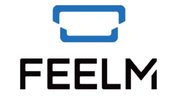 FEELM Logo