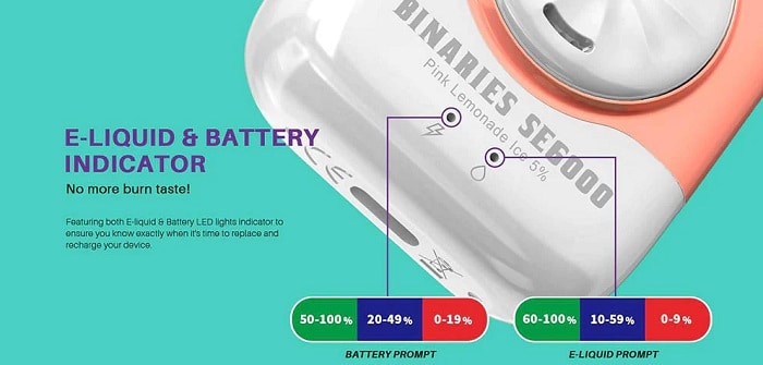 Binaries SE6000 LED indicators