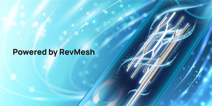 revmesh