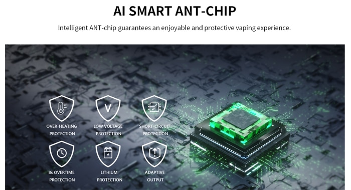 levin ant chip