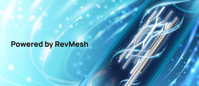 Beco powered by revmesh