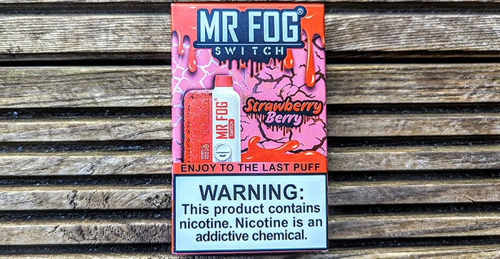 mr fog strawberry berry