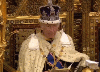 kings speech 2024