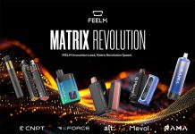 feelm-matrix-revolution