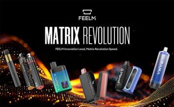 feelm-matrix-revolution
